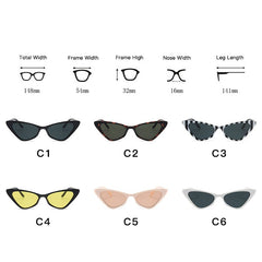 Cateye Sunglasses for Women